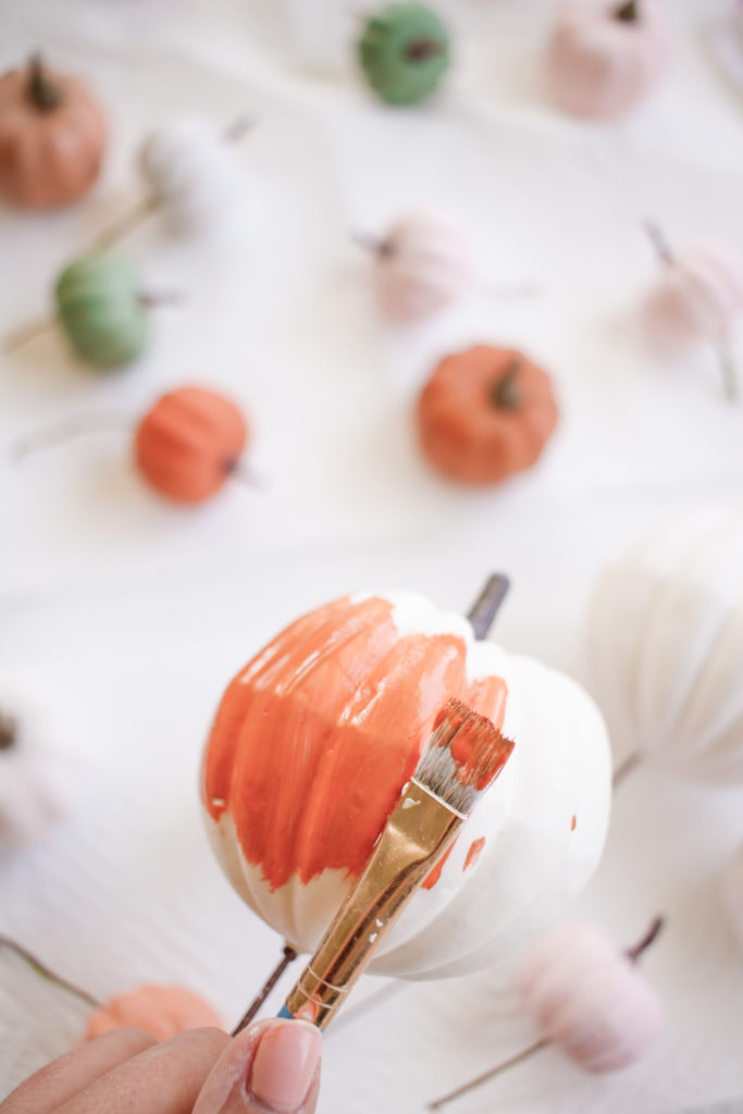 Paint Pumpkins DIY