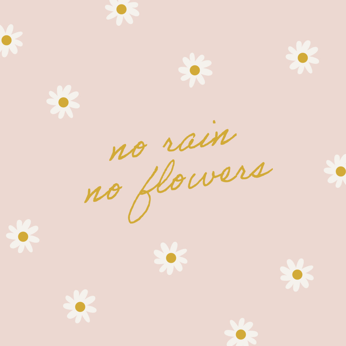 free phone quote background - no rain, no flowers