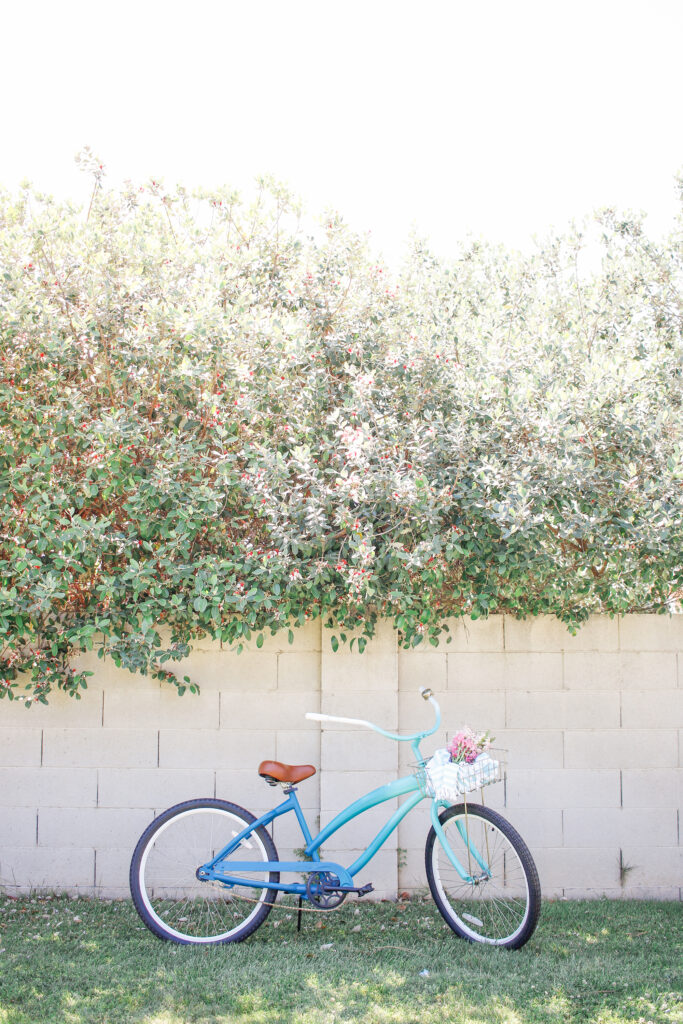 How to Paint An Ombre Bike
