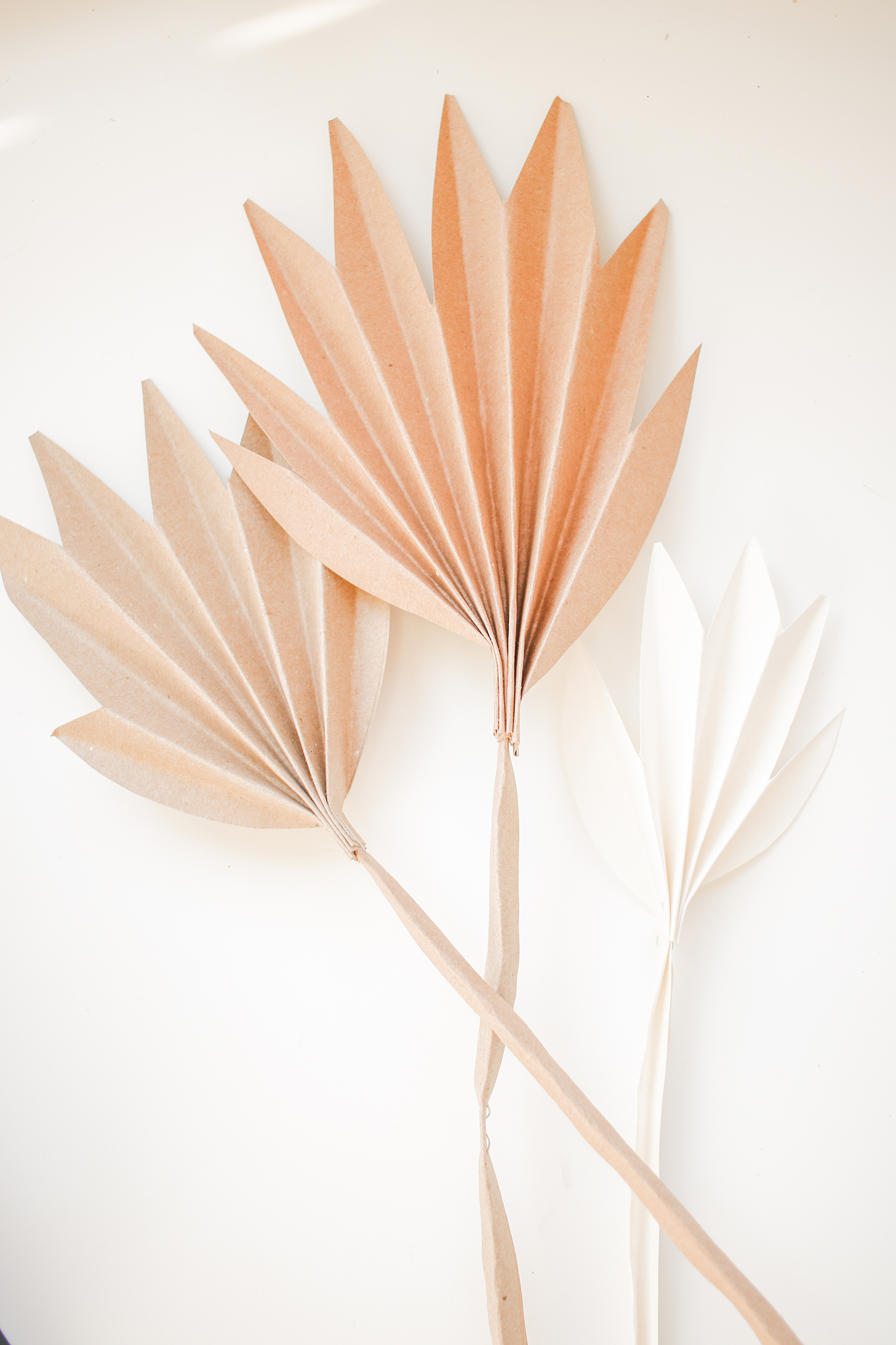 diy-dried-paper-palm-leaf-mikyla