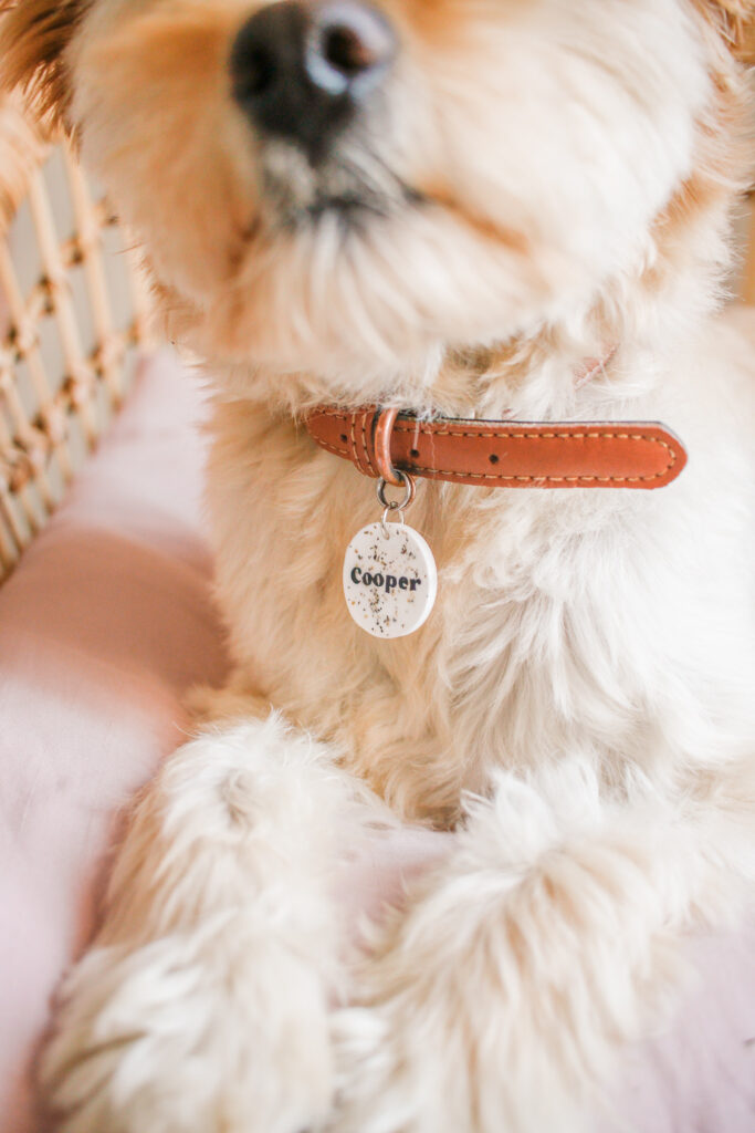 DIY Dog & Pet Tags - Made with Liquid Sculpey - Makes the perfect gift!