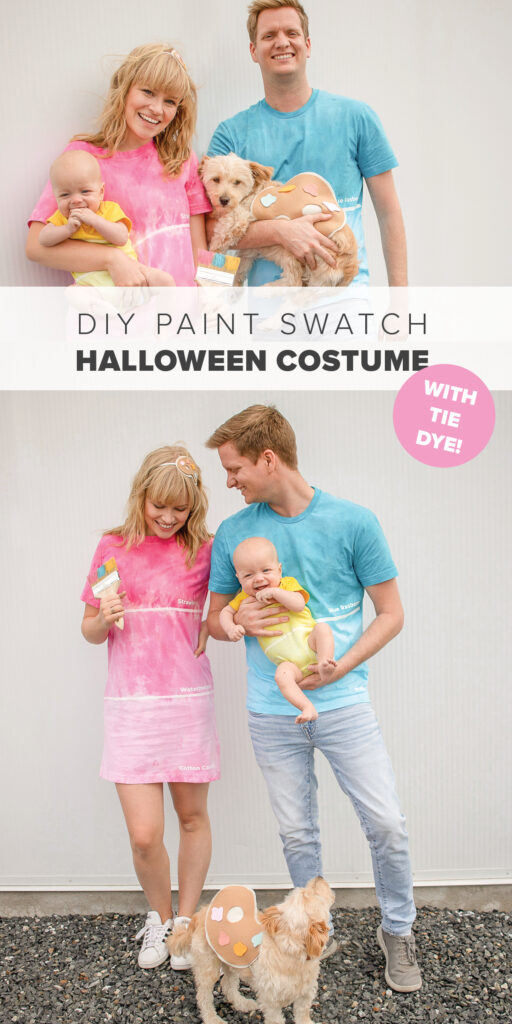 DIY Paint Swatch Family Costume Plus A Paint Palette