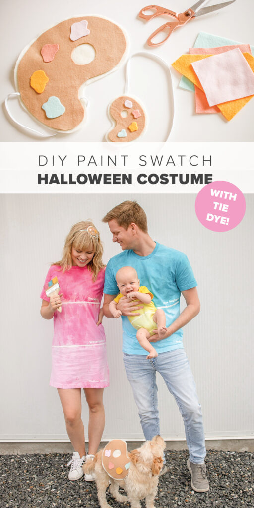 DIY Paint Swatch Family Costume Plus A Paint Palette