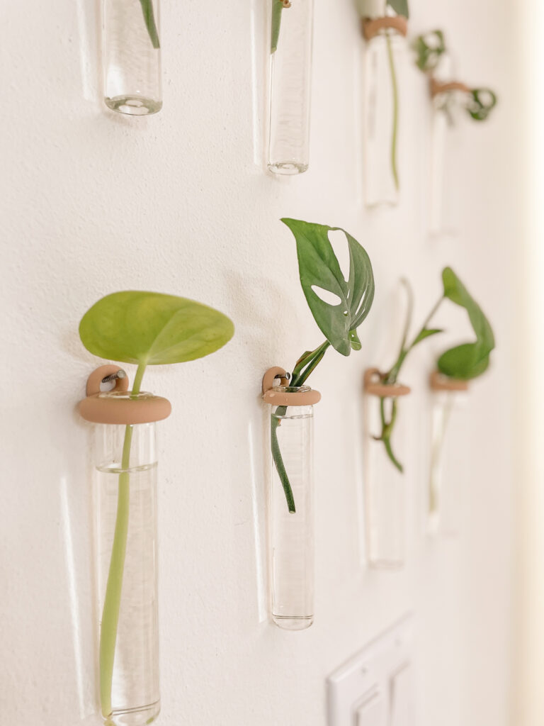 DIY Propagation Station Wall for $20 - How to make your own propagation plant wall for cheap! The perfect DIY wall art!