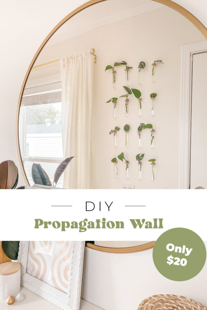 DIY Propagation Station Wall for $20