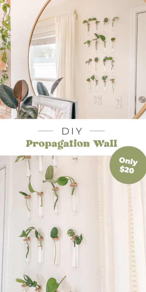DIY Propagation Station Wall for $20